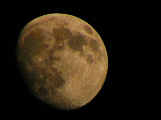 picture 1